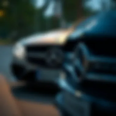 Magnificent A Comprehensive Exploration of Mercedes-Benz Models