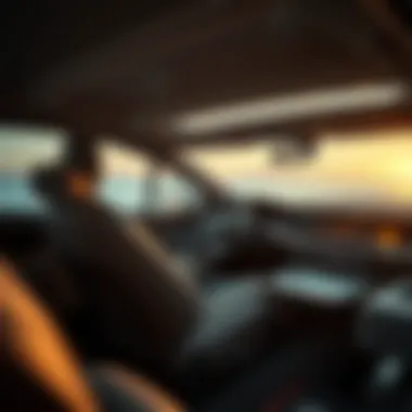 Effective Natural Solutions for Mold Natural cleaning solution for mold removal