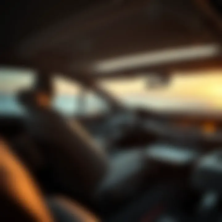 Effective Natural Solutions for Mold Natural cleaning solution for mold removal