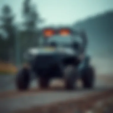 Aesthetic Customizations for Style Stylish enhancement options for Polaris RZR 900S