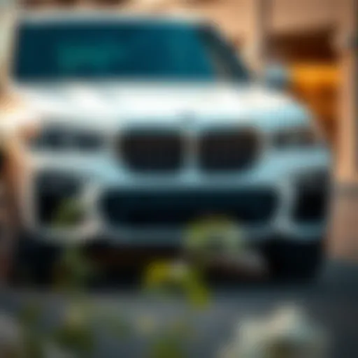 Elegant design features of the BMW x5 45e