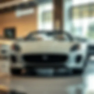 Sleek Jaguar Model in Showroom Sleek Jaguar model on display in San Francisco showroom