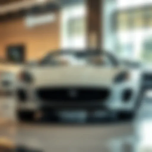 Sleek Jaguar Model in Showroom Sleek Jaguar model on display in San Francisco showroom