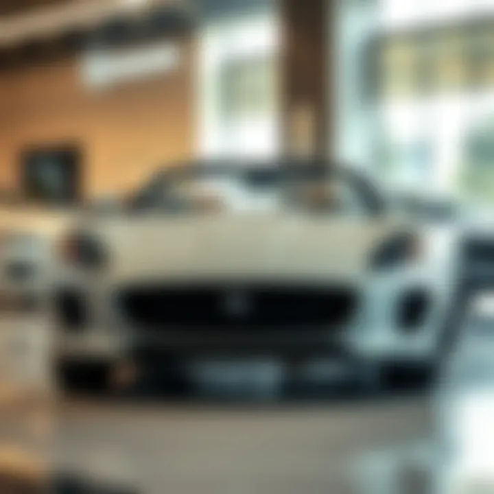 Sleek Jaguar Model in Showroom Sleek Jaguar model on display in San Francisco showroom