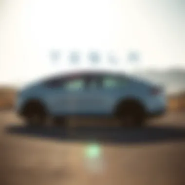 Rental Platforms Comparison An infographic comparing rental platforms for Tesla vehicles
